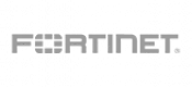 fotiner v4 (1)